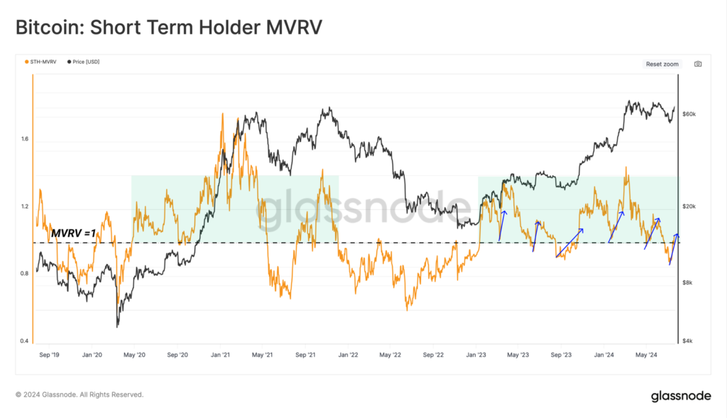 bitcoin short term holders glassnode